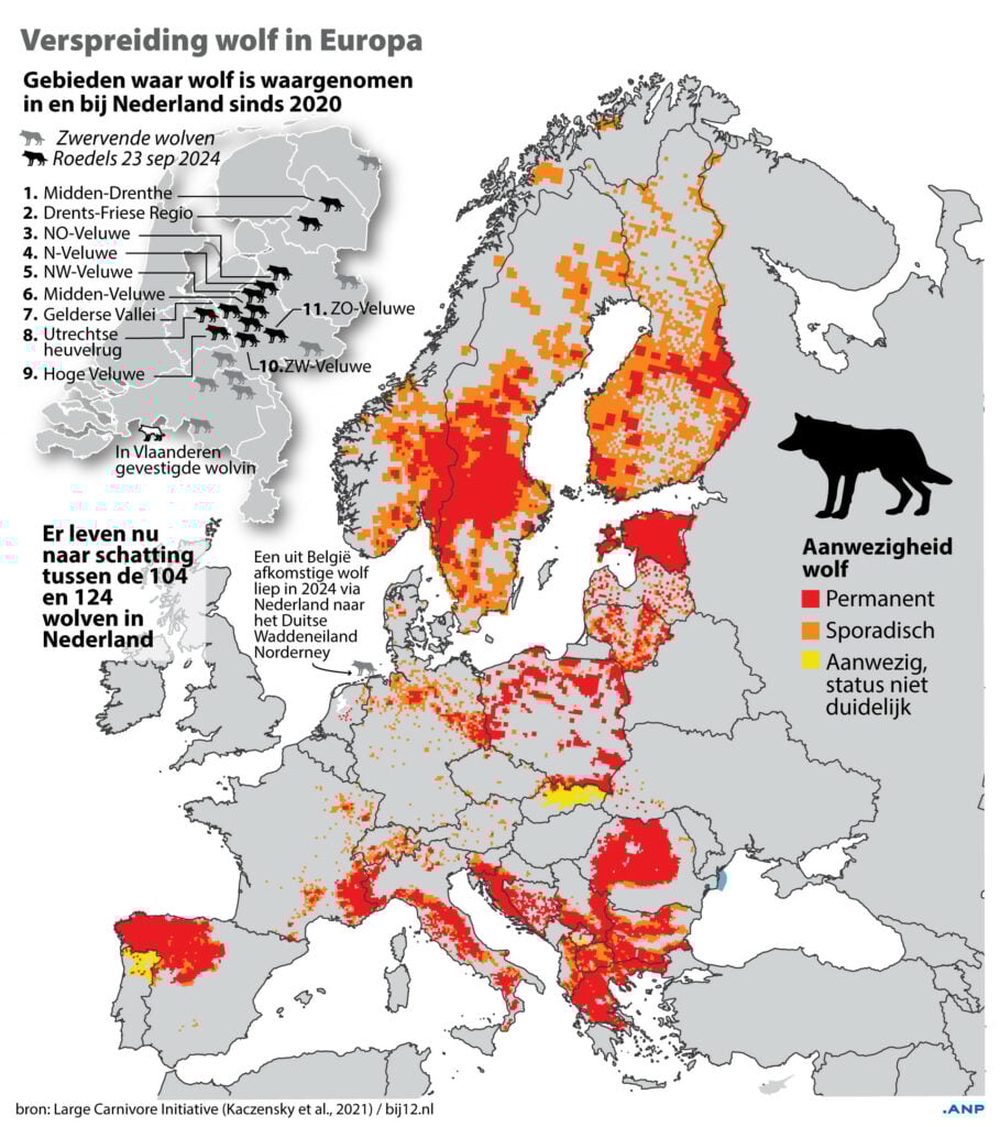Wolven In Nederland Kaart 2024
