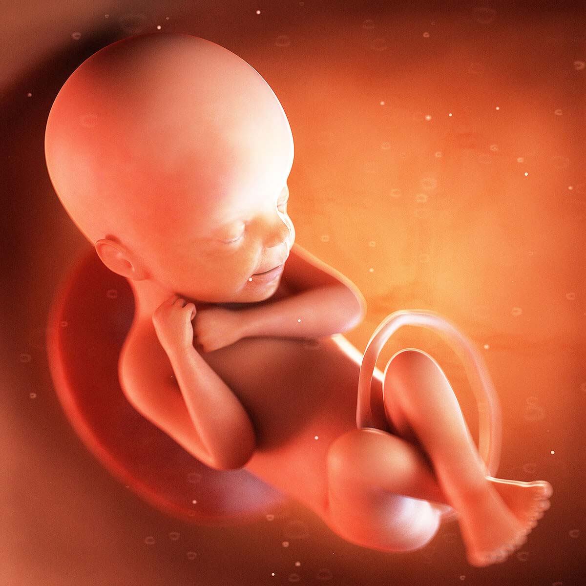 24 Weeks Pregnant Symptoms Of Boy