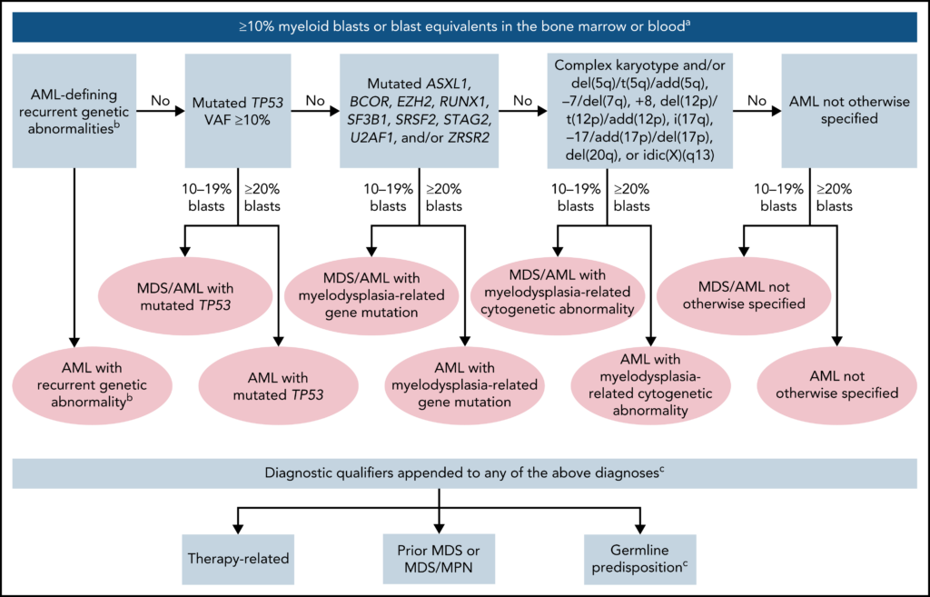 Acute Leukemie Behandeling