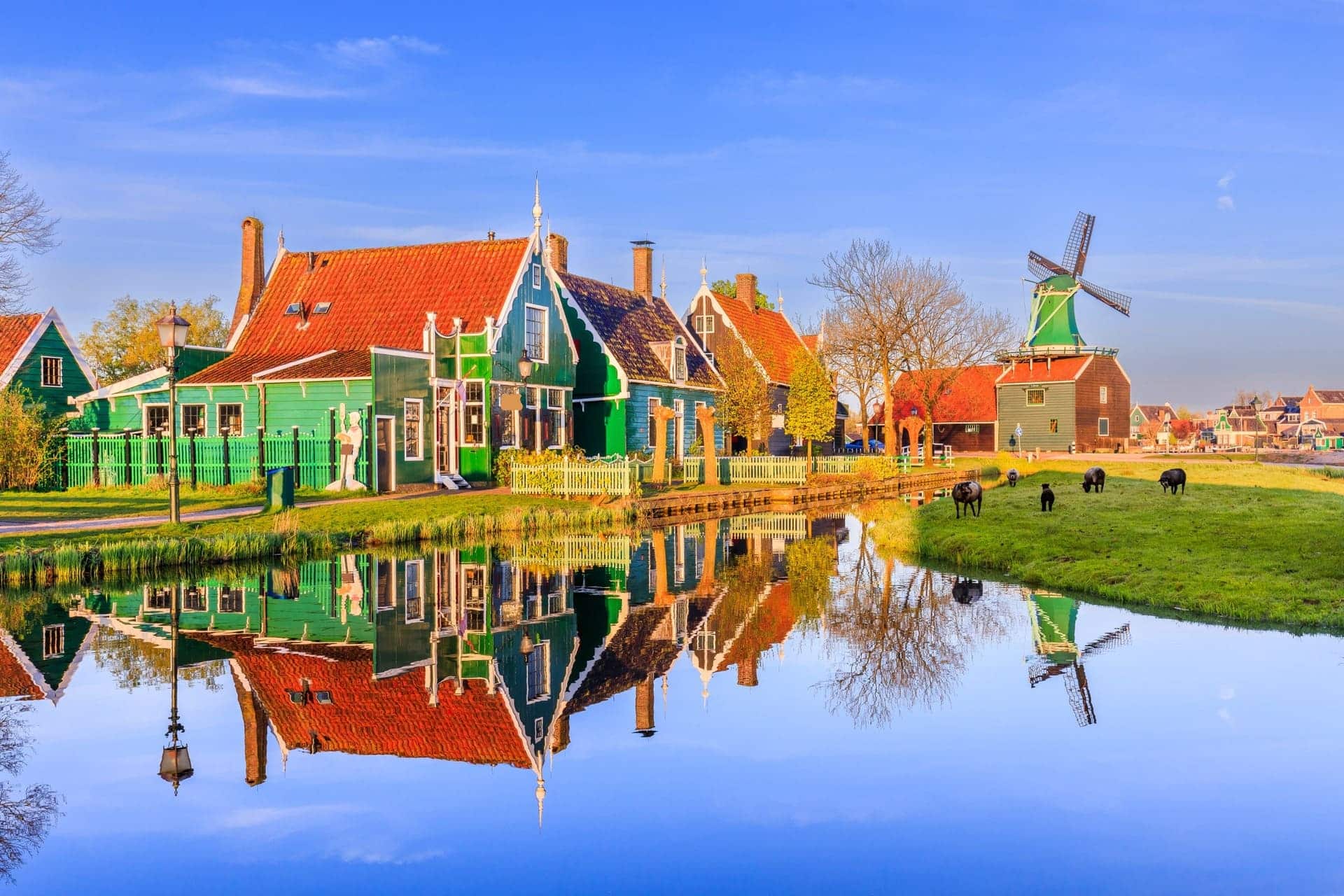 Amsterdam To Zaanse Schans Ticket