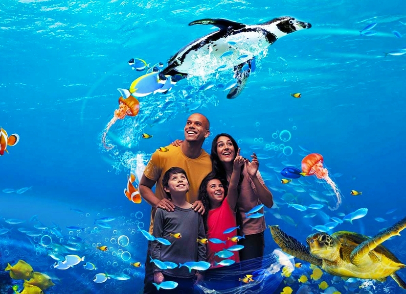 Aquarium Den Haag Sea Life Tickets