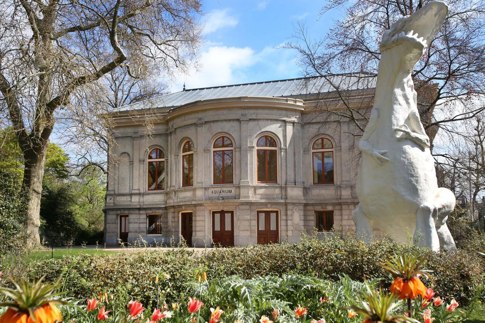 ARTIS-Aquarium Opening