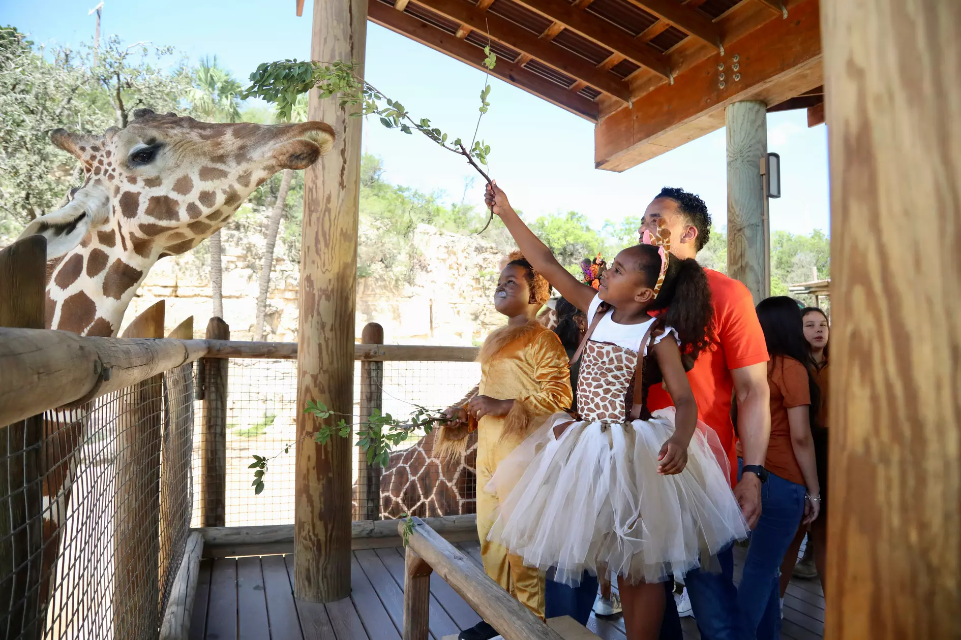Artis Zoo Tickets Discount Groupon