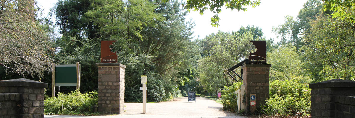 Belmonte Arboretum Parking