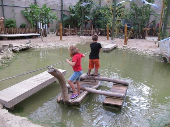 Berkenhof S Tropical Zoo & Vlindertuin Reviews