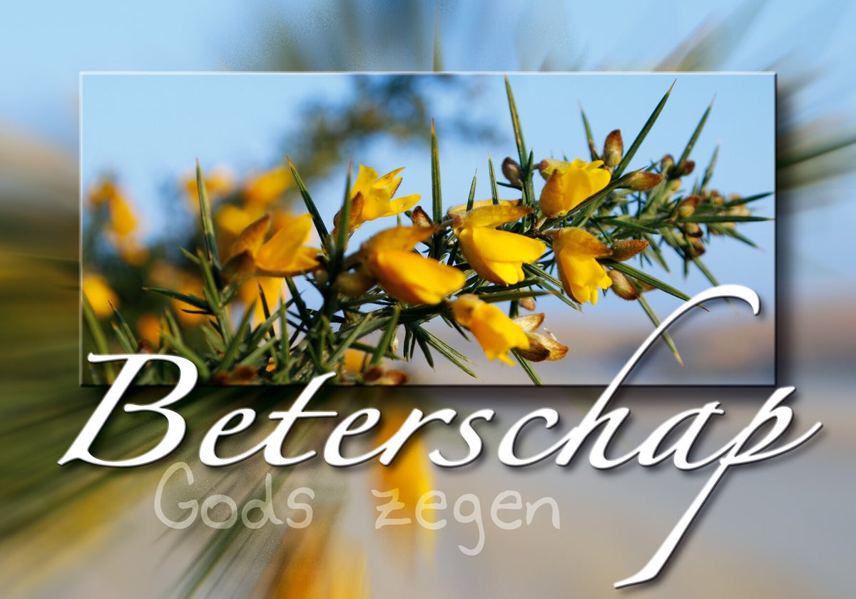 Beterschap Meaning