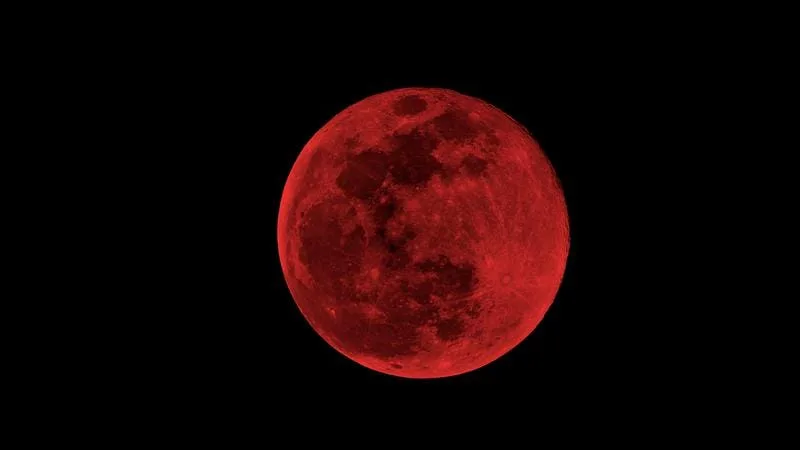 Bloedmaan België 2025