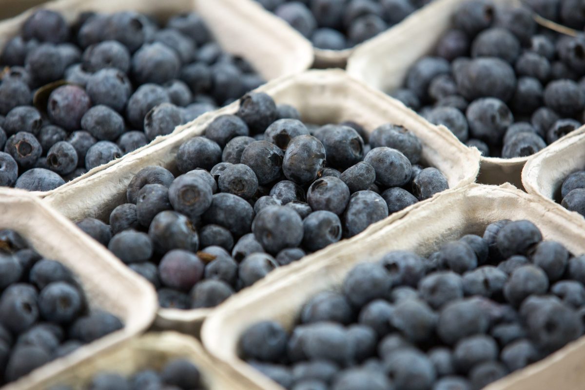 Can Frozen Blueberries Make You Sick