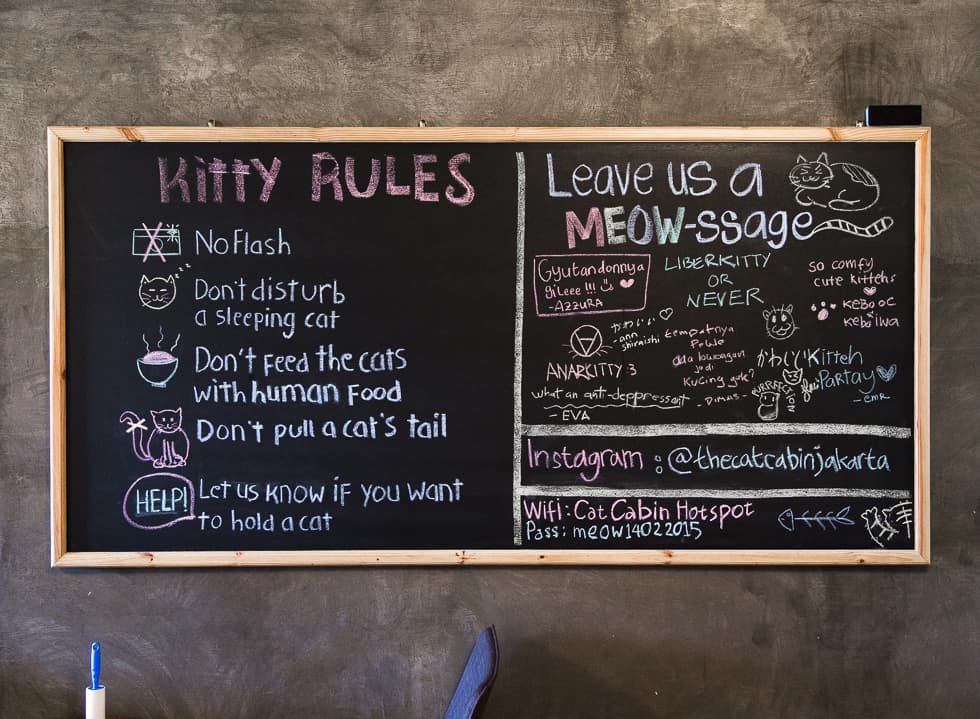 Cat Cafe Jakarta Menu