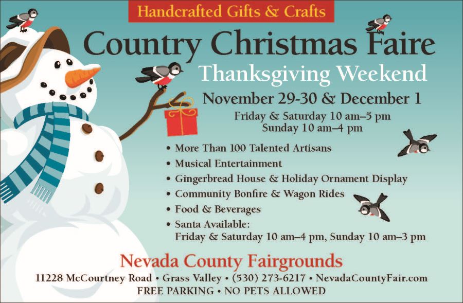 Country & Christmas Fair 2024 Rides