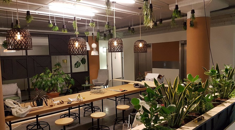 Dagger Coffee Utrecht