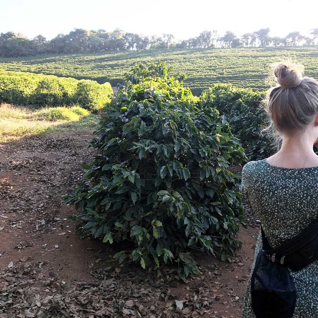 Dagger Coffee Workshop