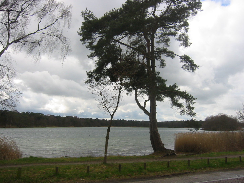 De Ijzeren Man Wikipedia