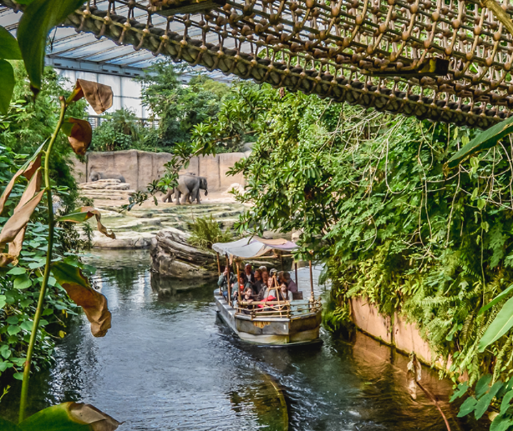 Dierentuin Emmen Openingstijden