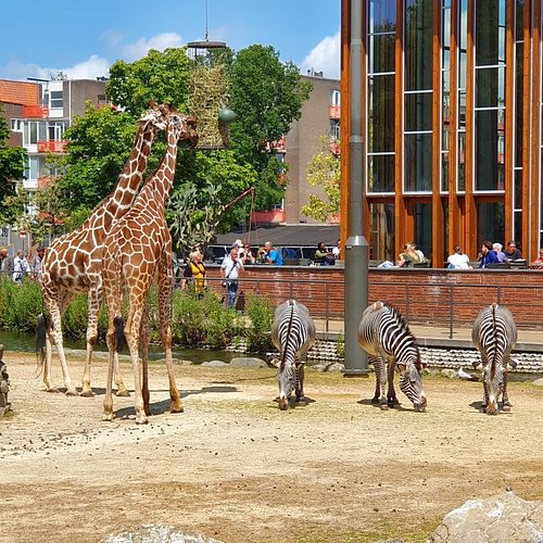 Dierentuin Nederland