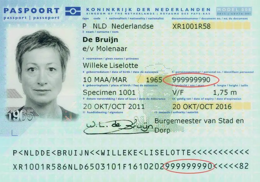 Dutch Passport Number Example