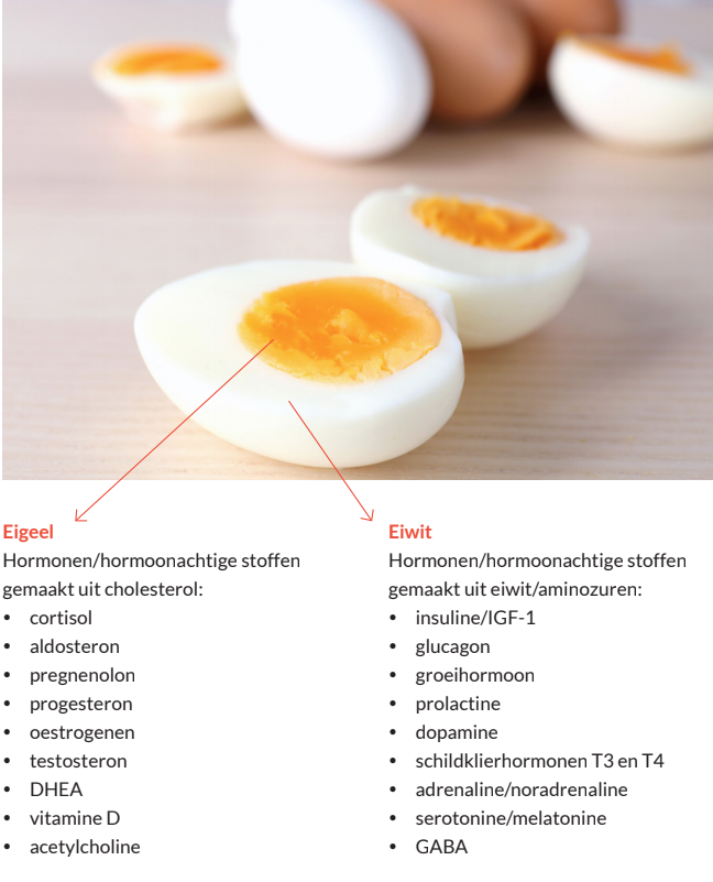 Eieren Gezond