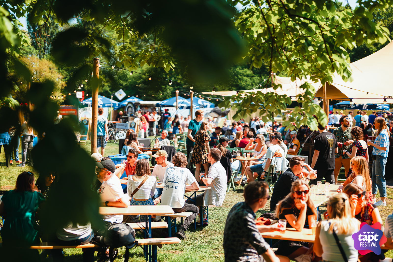 Festival Leiden Vandaag
