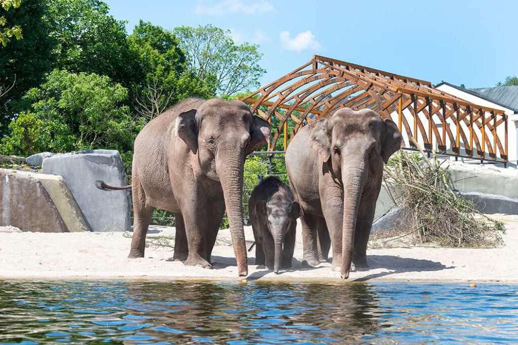 Grootste Dierentuin Nederland