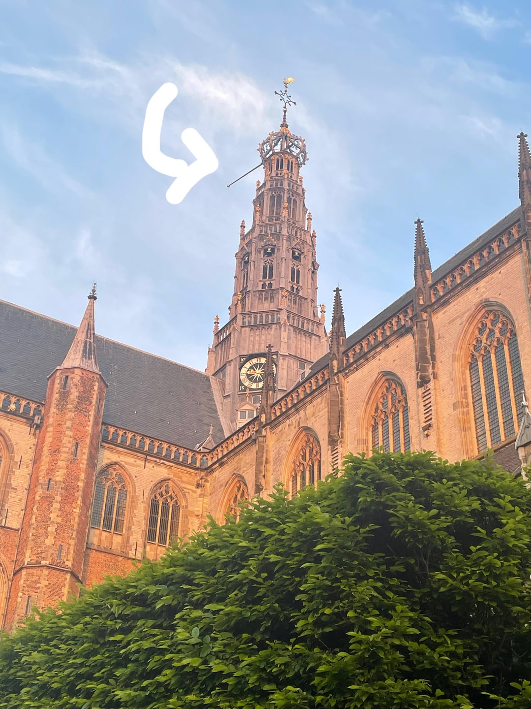 Haarlem Church Bells