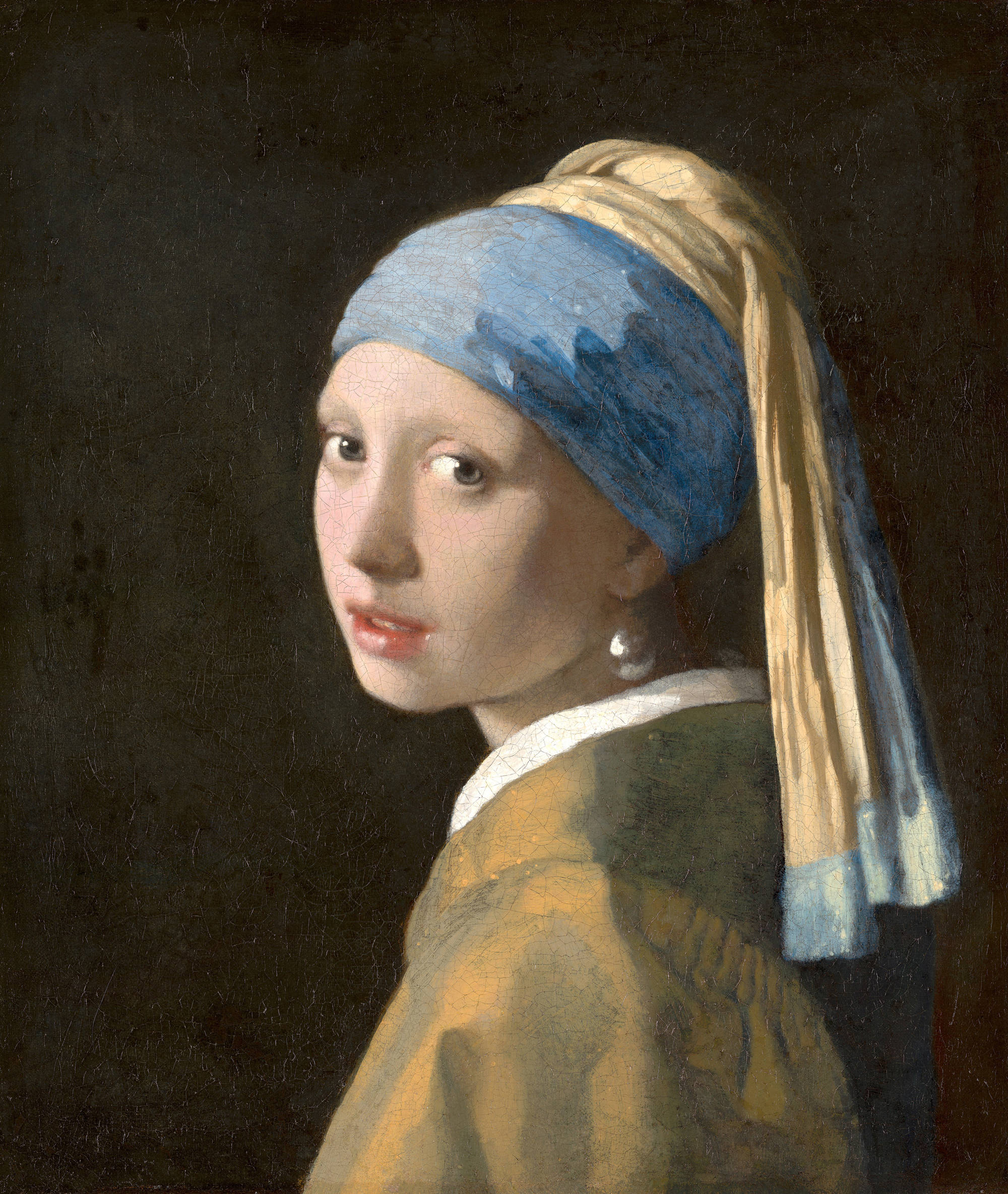 Hague Museum Girl With Pearl Earring