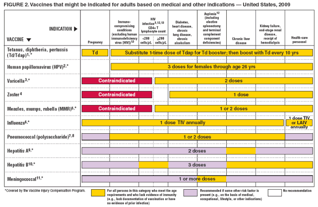 Hepatitis A Vaccine Schedule For Adults