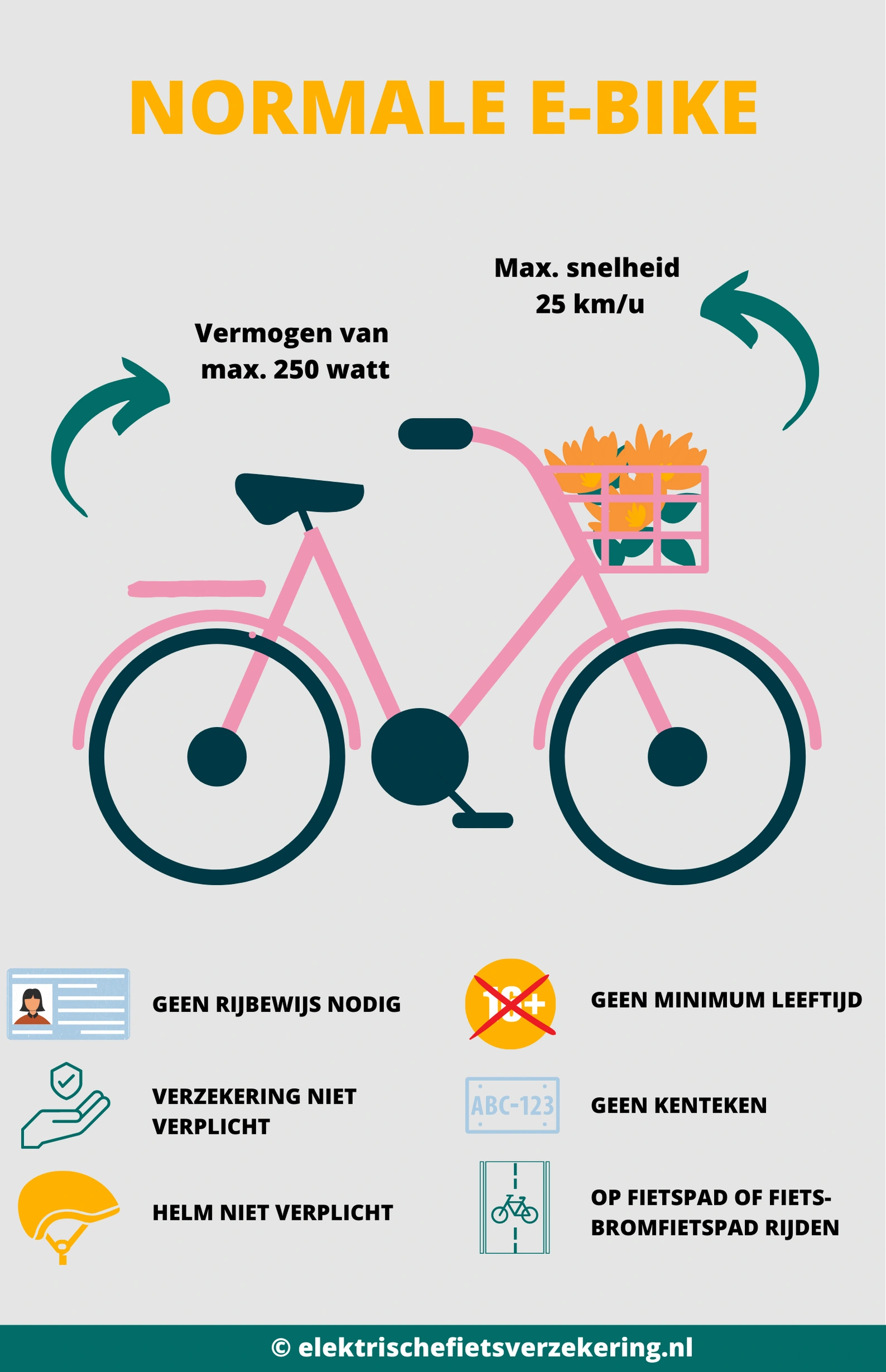 Hoe Oud Moet Je Zijn Voor Een Elektrische Fiets