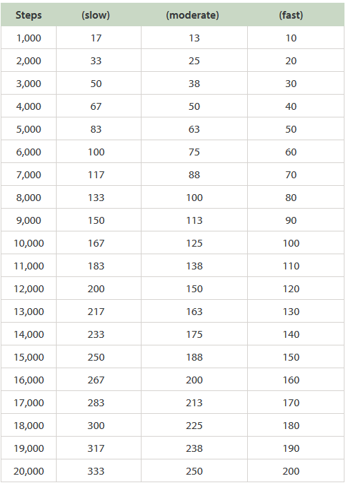 Hoeveel Km Is 12000 Stappen