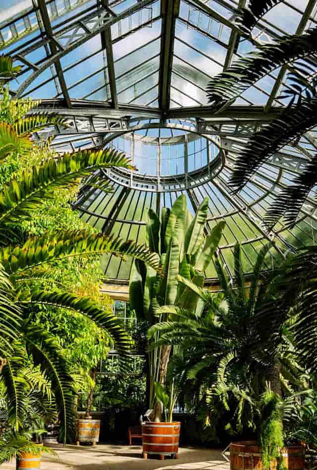 Hortus Botanicus Amsterdam Tickets Price