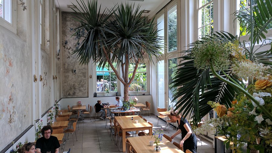 Hortus Botanicus Vrije Universiteit Amsterdam Restaurant