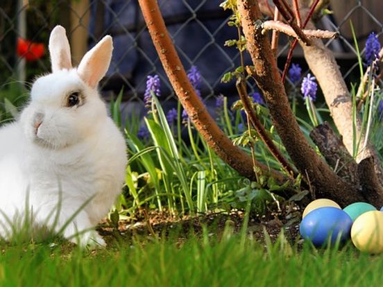 Is Goede Vrijdag Een Vrije Dag Voor Scholen