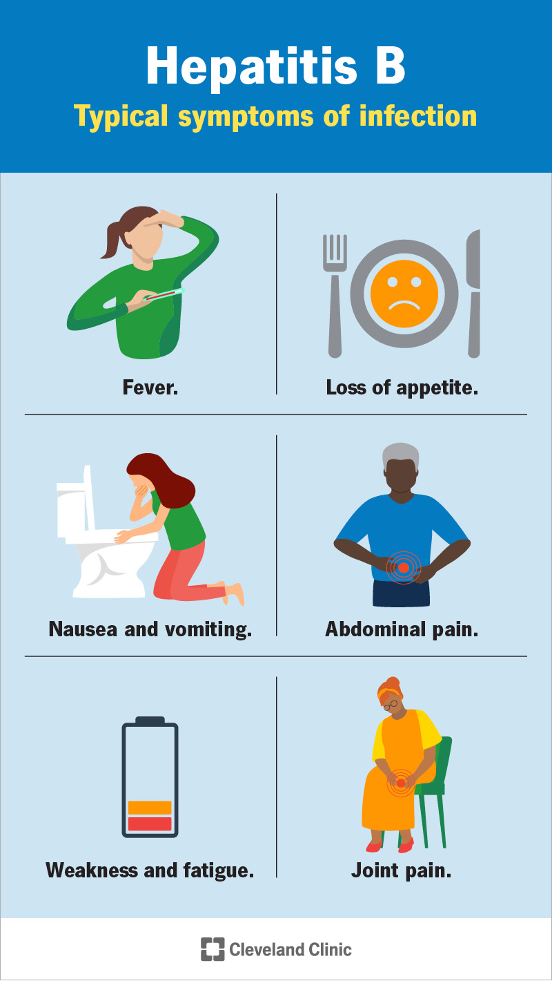 Is Hepatitis B Curable