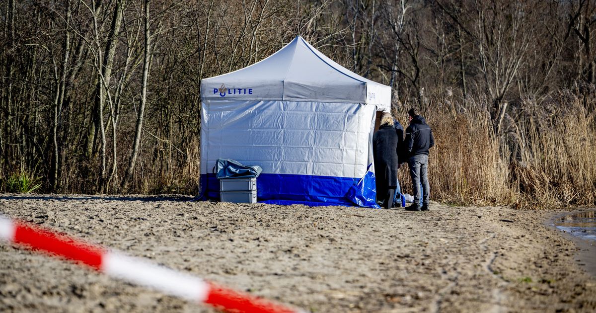 Marjolein Rotterdam Gevonden