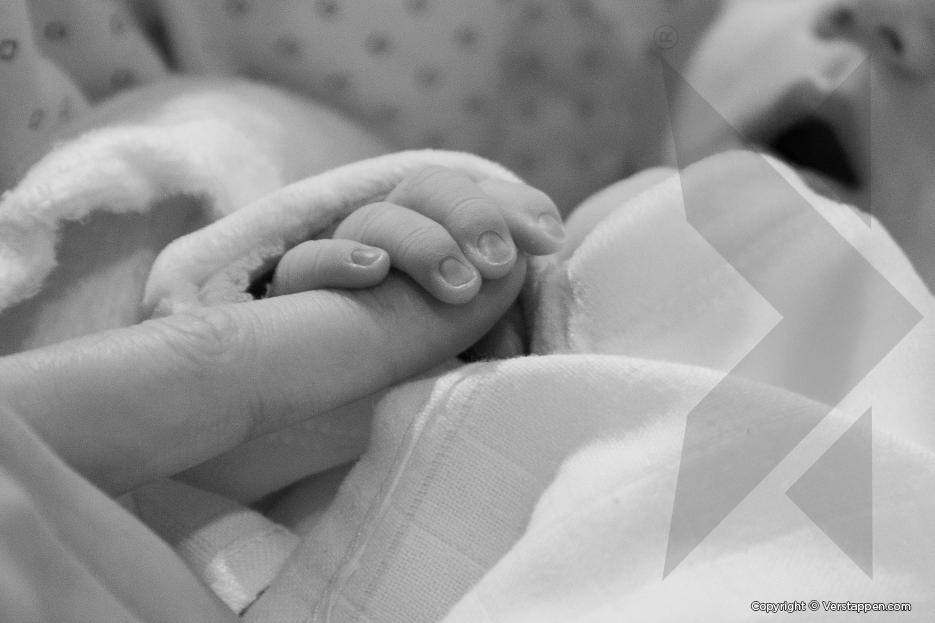 Max Verstappen Baby Geboren