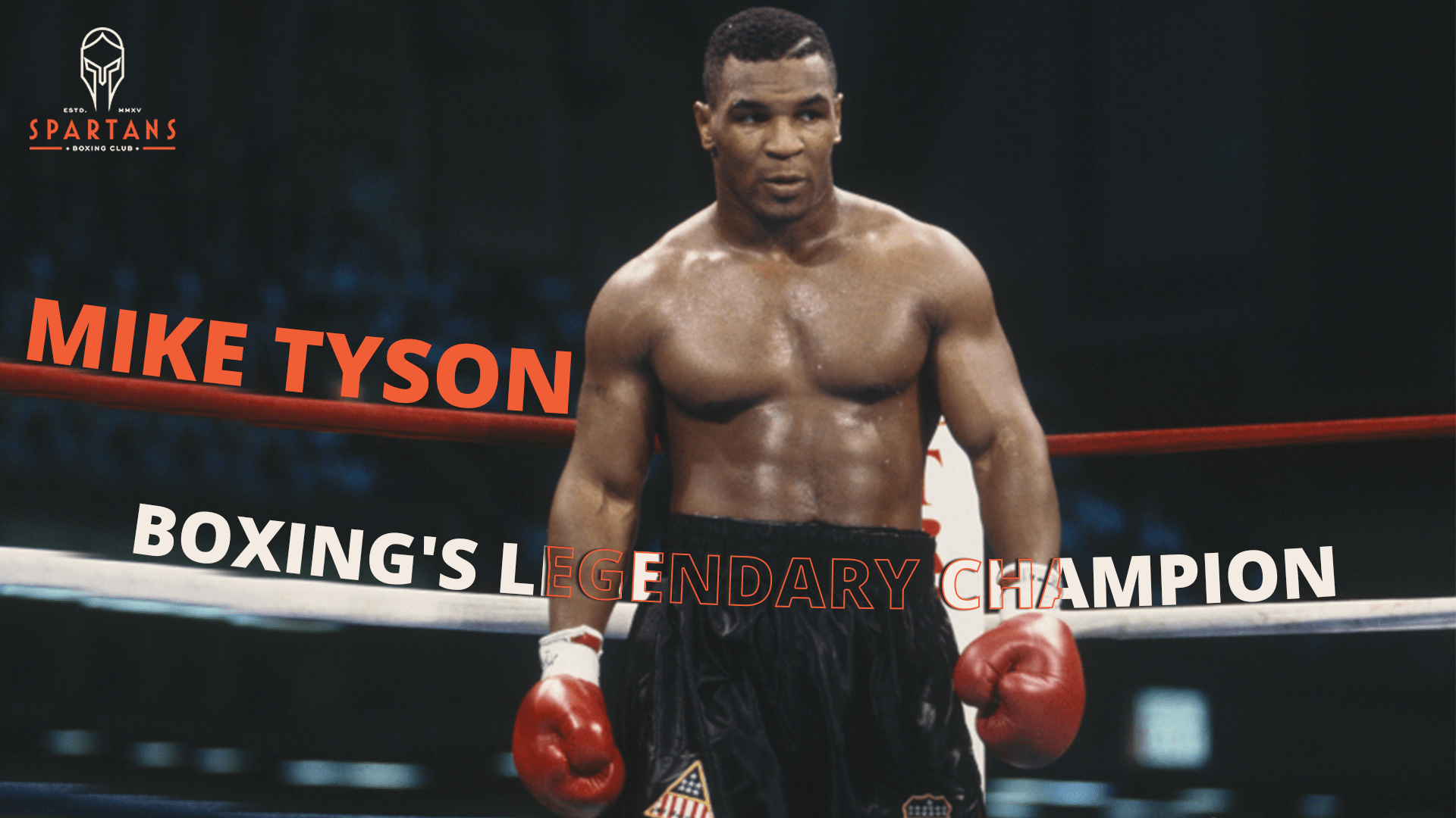 Mike Tyson Record