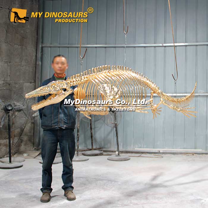 Mosasaurus Skeleton For Sale