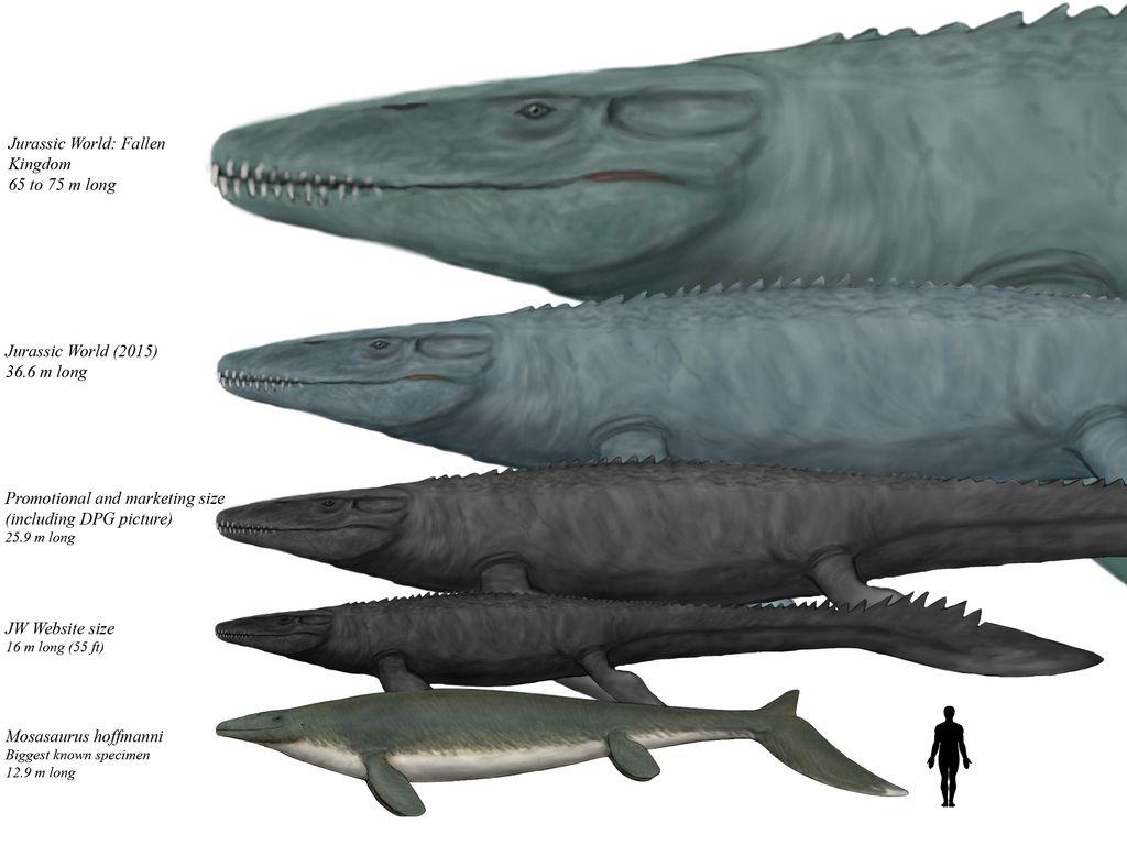 Mosasaurus Weight