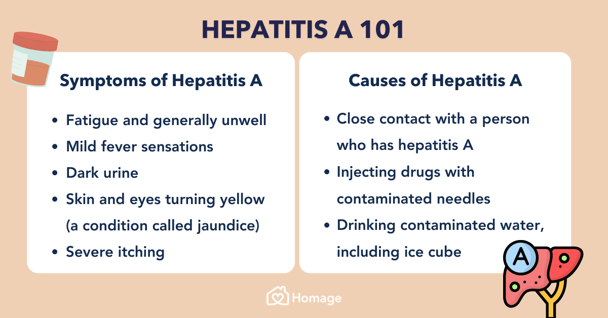 My Husband Has Hepatitis A Can I Get It