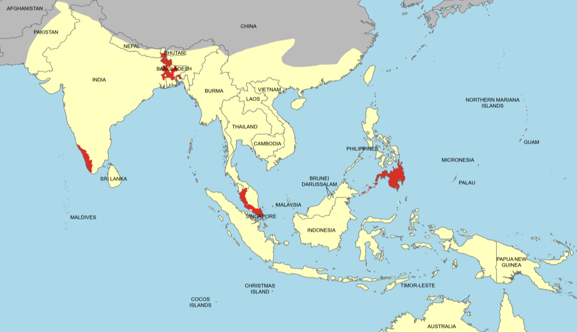 Nipah Virus Map