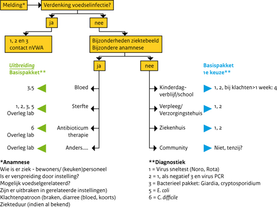 Norovirus Incubatietijd