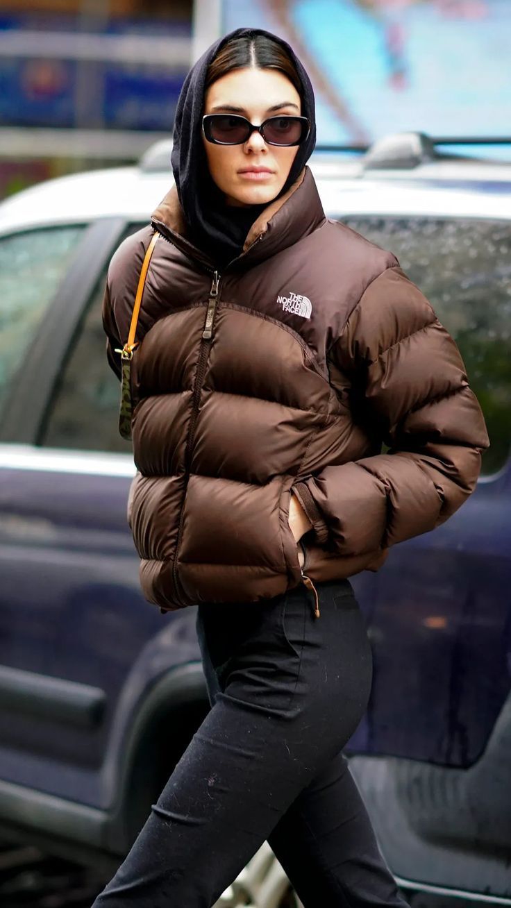 North Face Brown Puffer Jacket 700