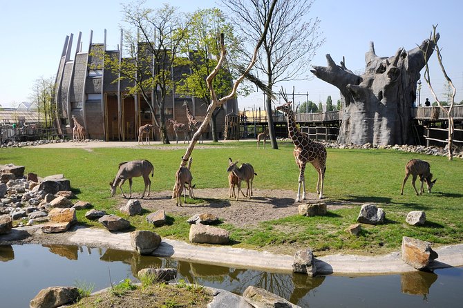 Rotterdam Zoo