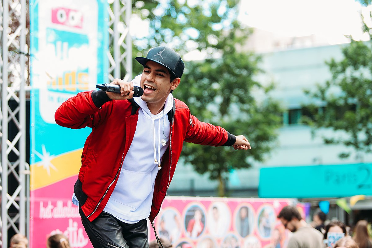 Slechtste Chauffeur Van Nederland Presentator Wikipedia