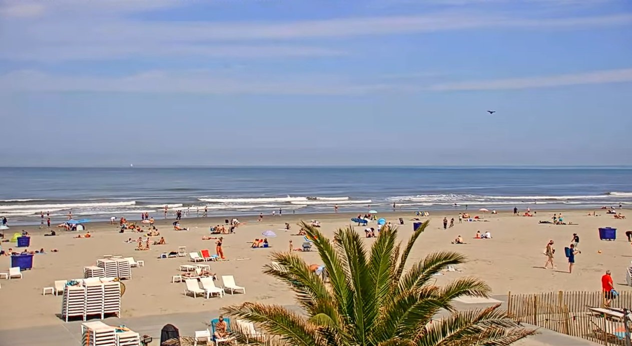 Strand Hoek Van Holland Vandaag