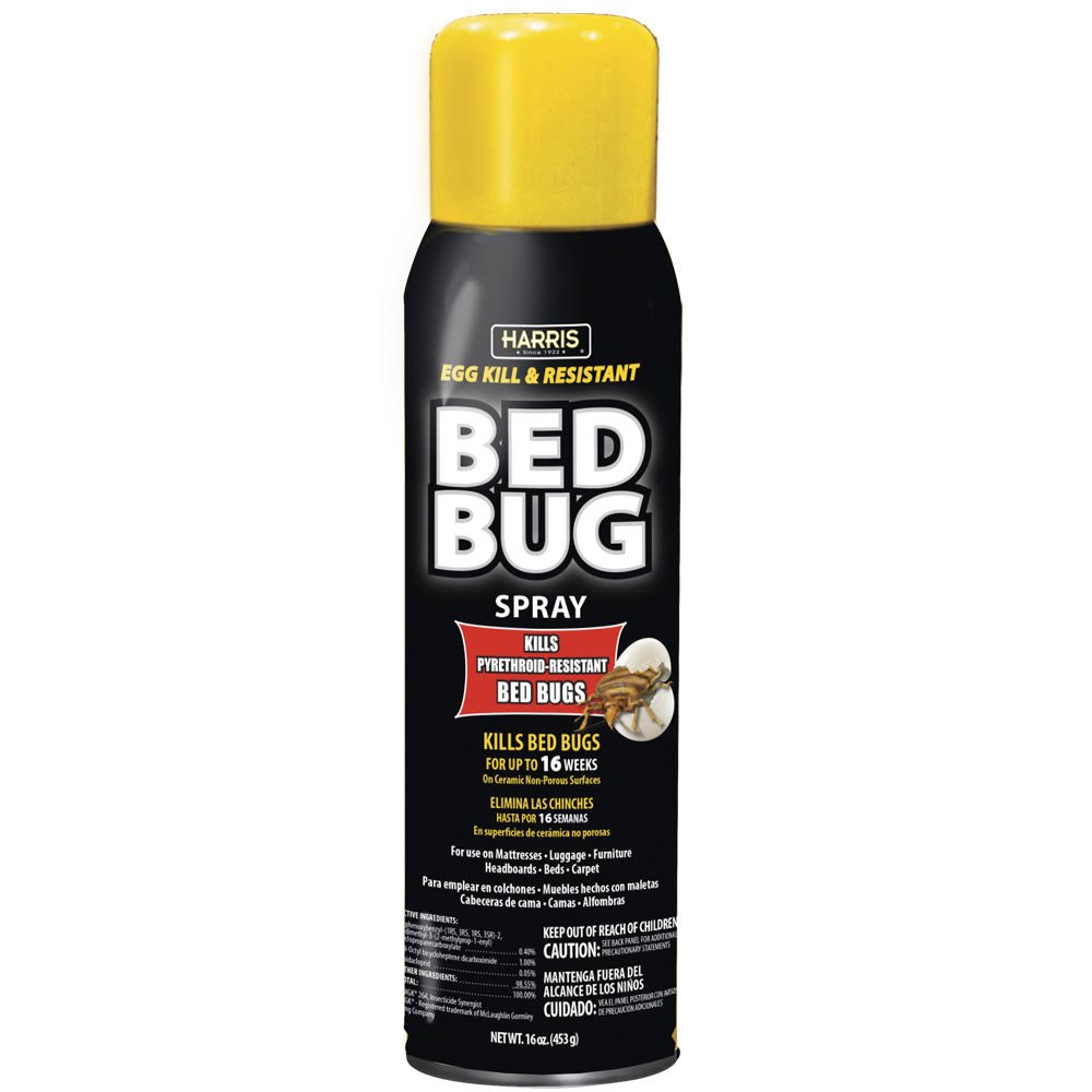 Strongest Bed Bug Killer