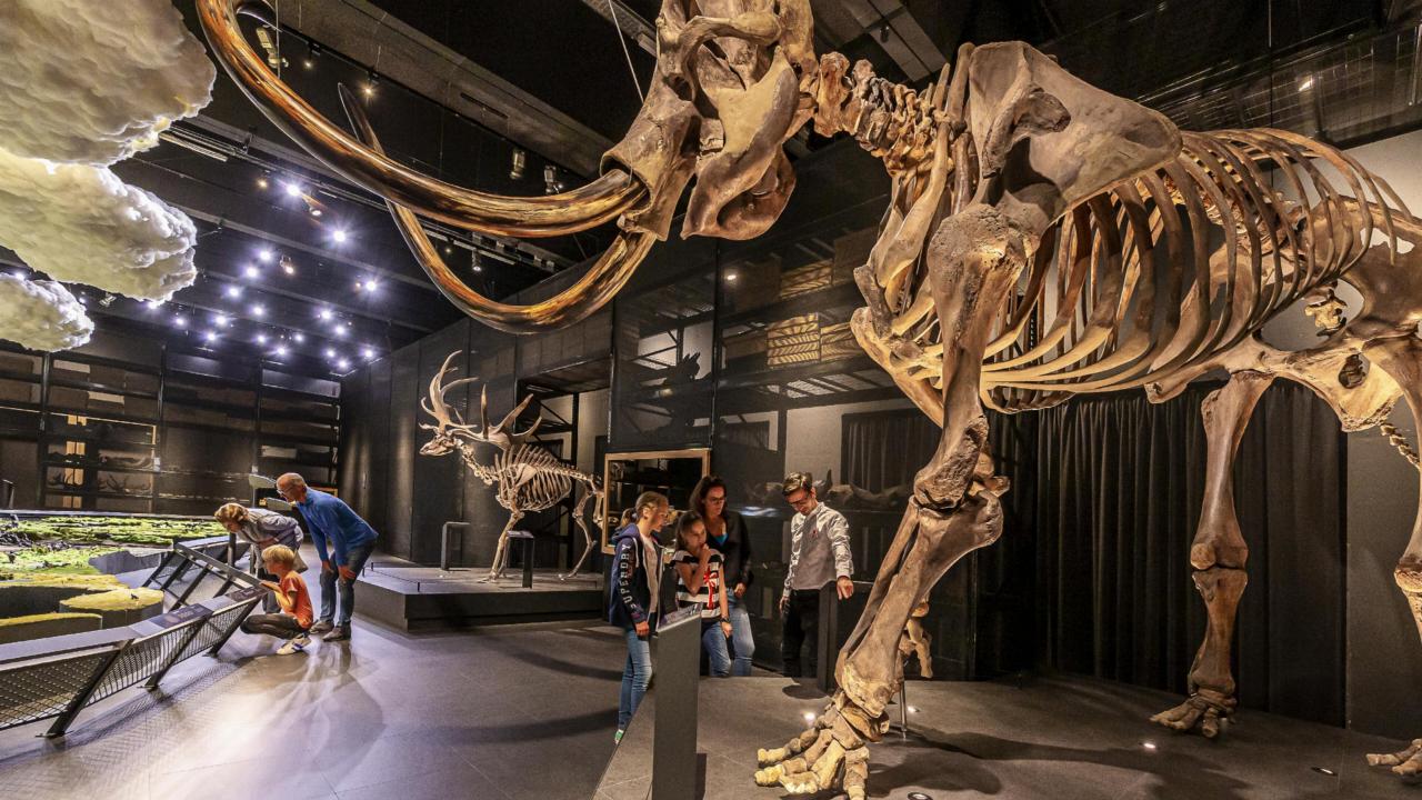 Tickets Voor Naturalis Biodiversity Center Price