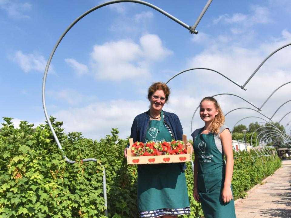 Van Reeuwijk Fruit & Flowers Price