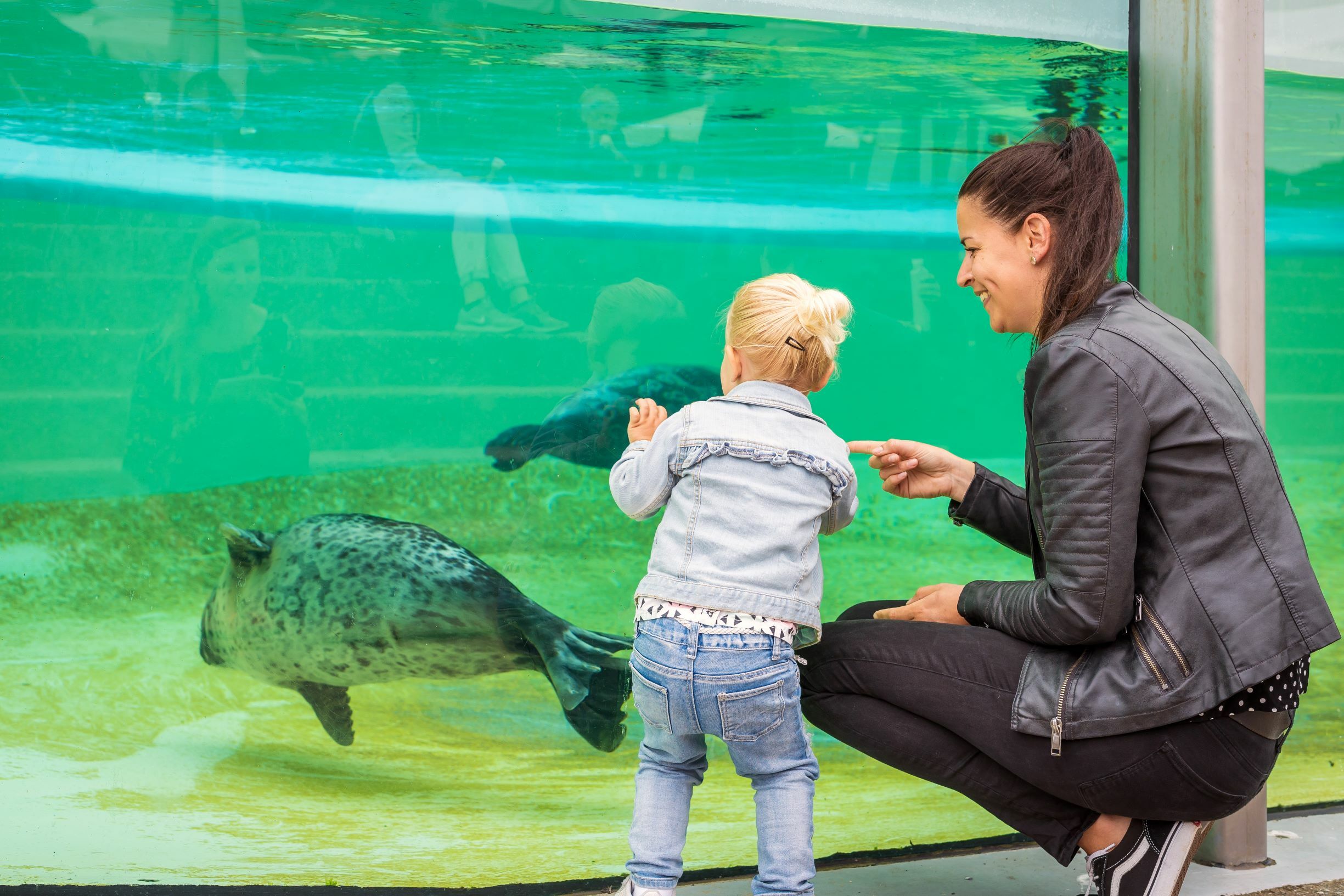 Wat Is Er Te Doen Op Texel