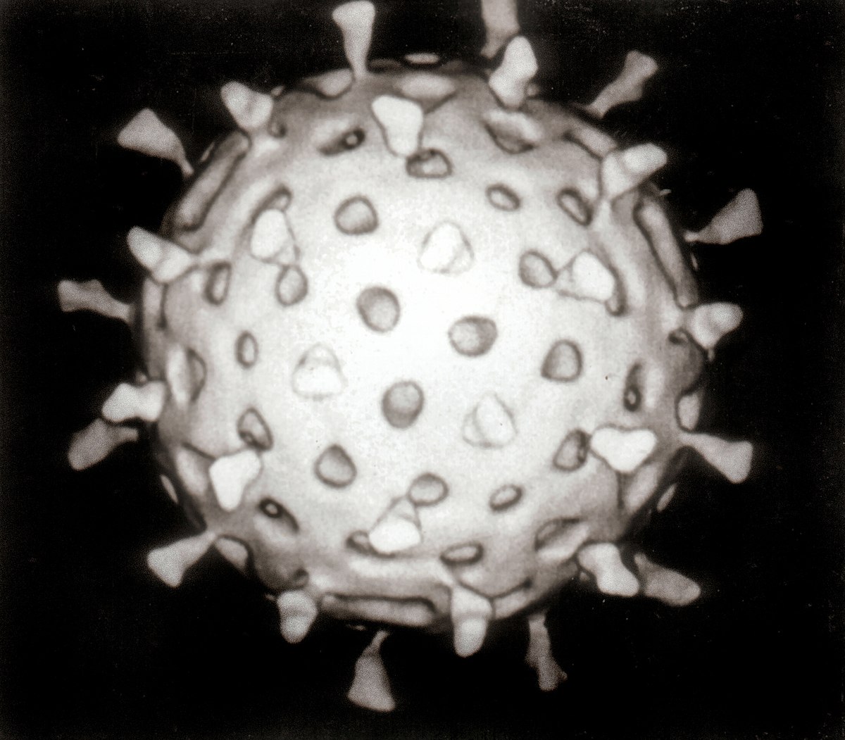Wat Is Rotavirus