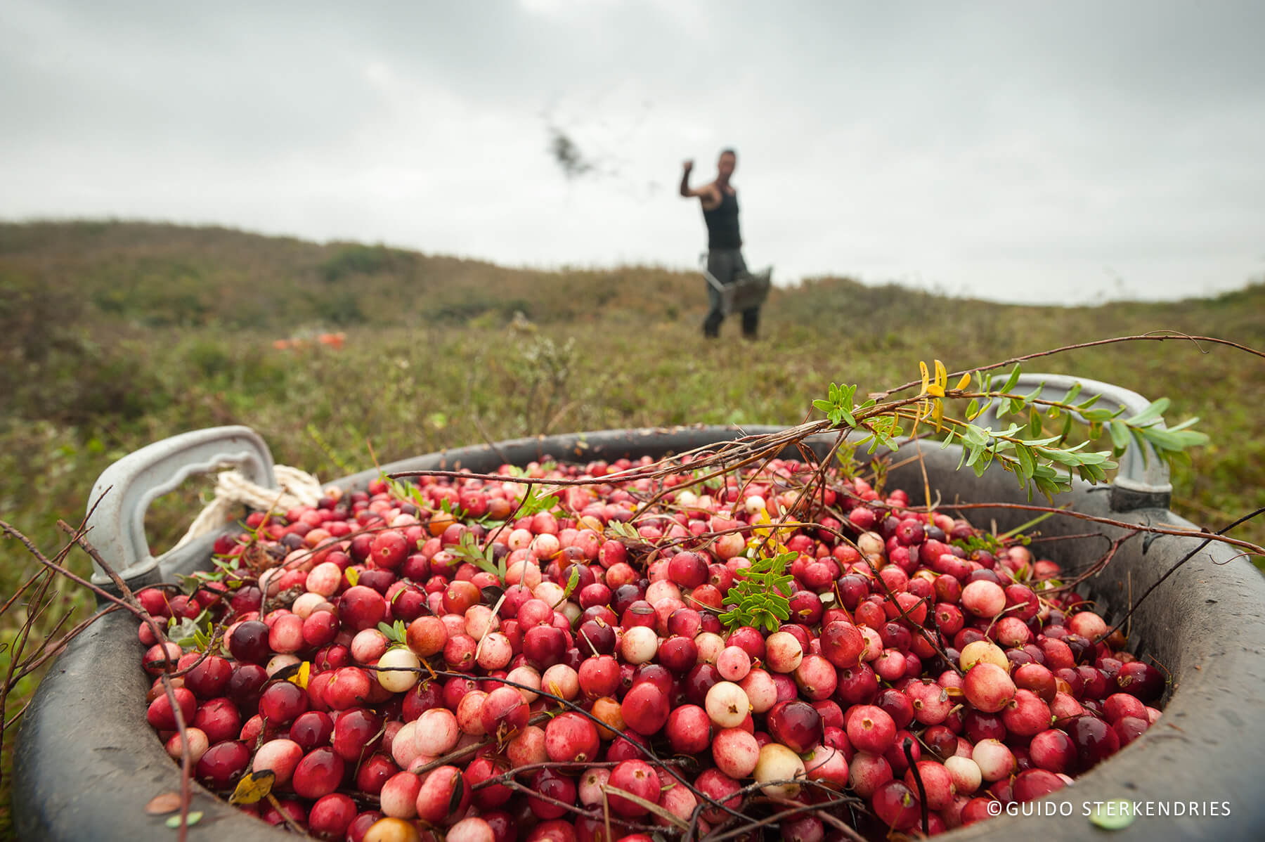 Wat Te Doen Op Terschelling Met Slecht Weer